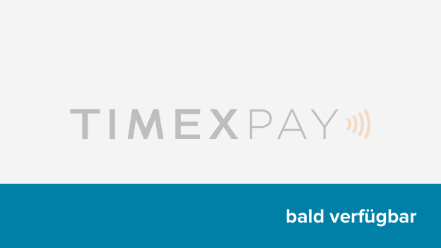 Logo Timex Pay